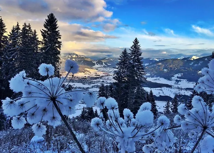 Berggasthof Biberg Saalfelden am Steinernen Meer